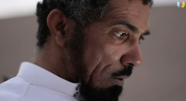 د. سلمان العودة